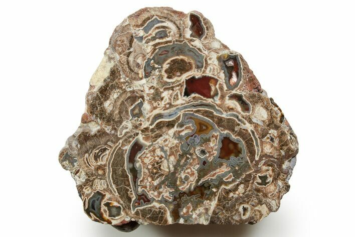 Polished Baker Ranch Thunderegg (Half) - New Mexico #373450